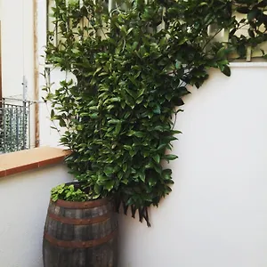 Il Terrazzino Sul Kemonia Palerme